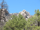 photo thumbnail #2