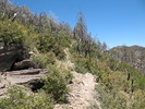 photo thumbnail #4