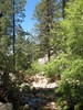 photo thumbnail #9