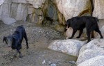 photo thumbnail #6