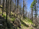 photo thumbnail #6