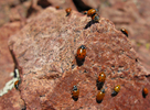 photo thumbnail #8