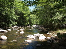 photo thumbnail #2