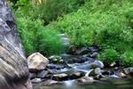 photo thumbnail #4