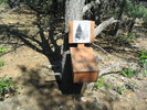 photo thumbnail #2