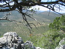 photo thumbnail #13