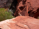 photo thumbnail #6