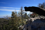photo thumbnail #5