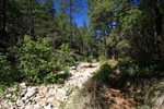 photo thumbnail #7