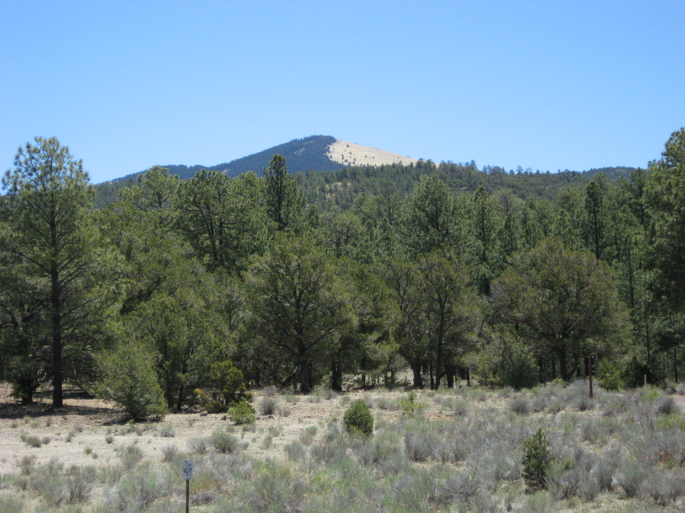 Mount Taylor, NM • Hike