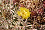 photo thumbnail #3
