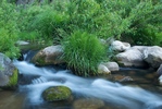 photo thumbnail #13