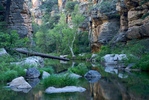 photo thumbnail #15