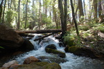 photo thumbnail #3