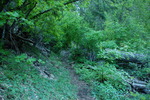 photo thumbnail #8