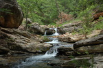photo thumbnail #9