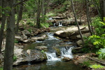 photo thumbnail #10