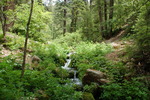 photo thumbnail #11