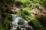 photo thumbnail #12