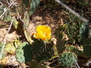 photo thumbnail #8
