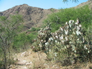 photo thumbnail #5