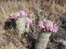 photo thumbnail #8