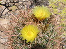 photo thumbnail #15