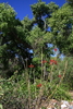 photo thumbnail #10