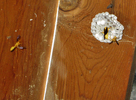 photo thumbnail #13