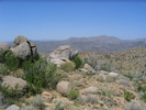 photo thumbnail #8