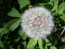 photo thumbnail #14