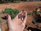 photo thumbnail #9