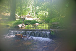 photo thumbnail #10