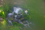 photo thumbnail #12