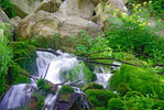 photo thumbnail #14