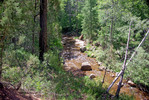 photo thumbnail #15