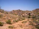 photo thumbnail #5