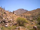 photo thumbnail #7