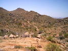 photo thumbnail #10