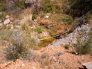 photo thumbnail #11