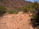 photo thumbnail #12