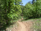 photo thumbnail #11