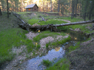 photo thumbnail #1