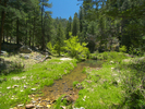 photo thumbnail #5