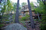 photo thumbnail #4