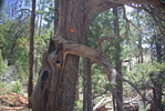 photo thumbnail #11