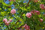 photo thumbnail #13