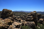 photo thumbnail #14