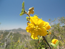 photo thumbnail #11