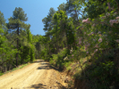 photo thumbnail #13